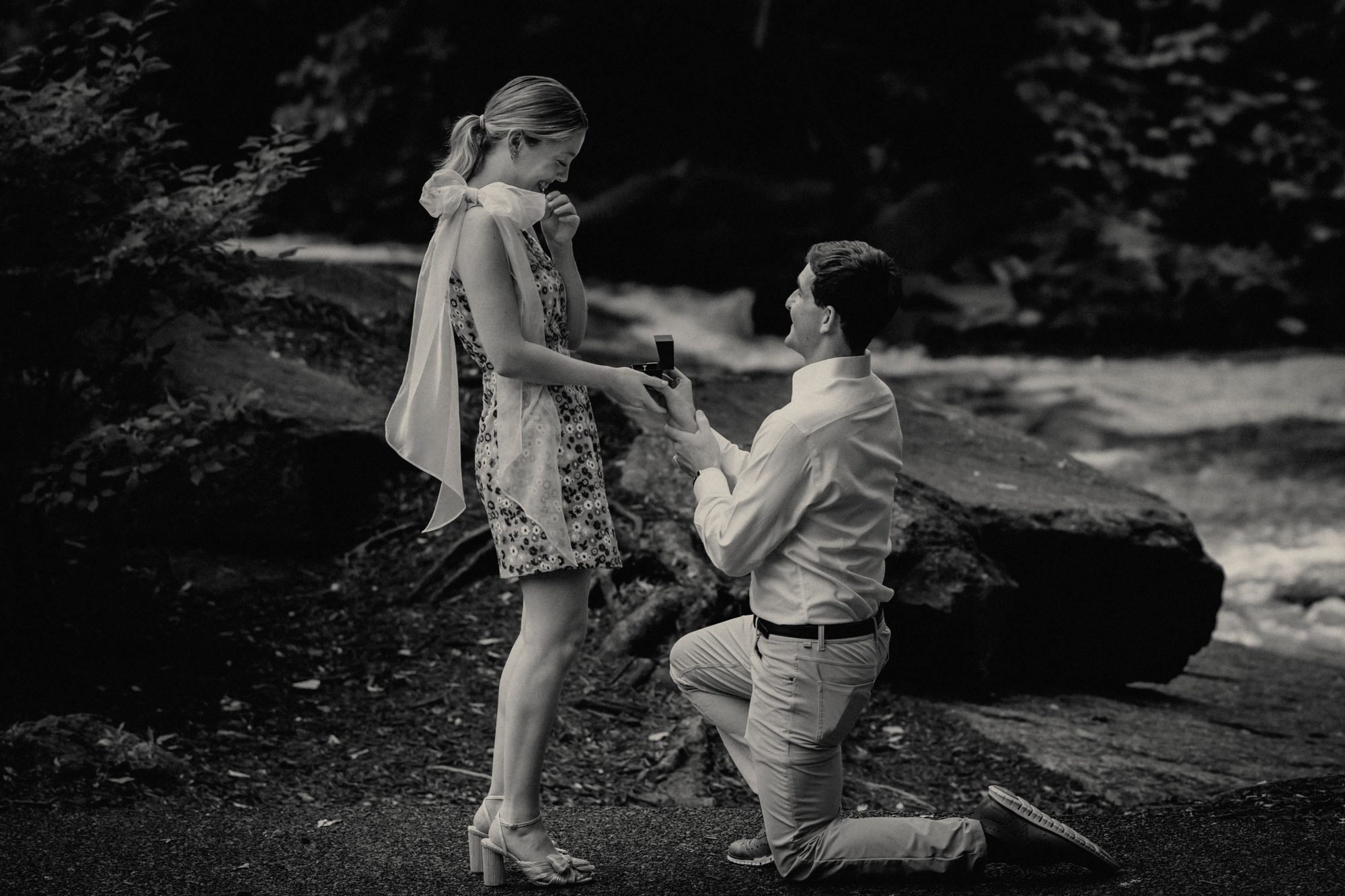 Proposal, black and white
